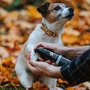 Paws Dry Shampoo - Natural Solution for On-The-Go Cleansing (150ml)