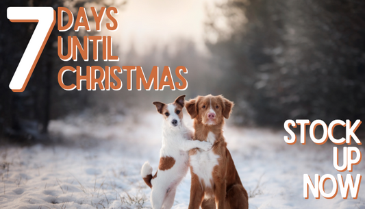 One Week Until Christmas: Stock Up Now!