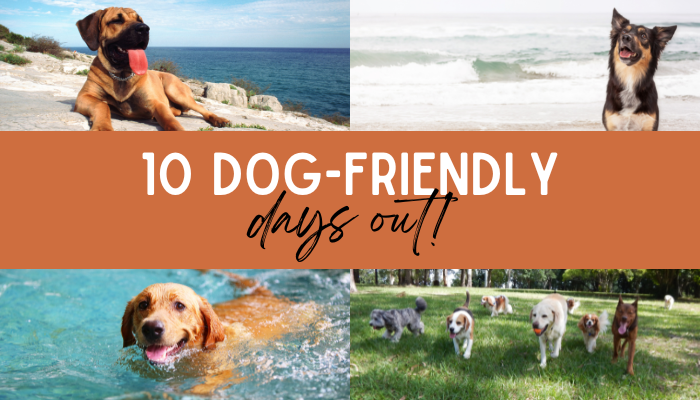 10 Dog-Friendly Days Out