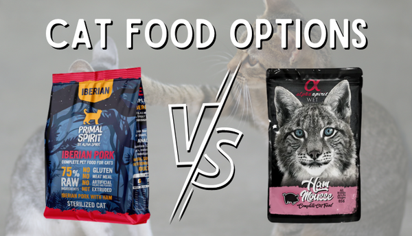 Cat Food Options