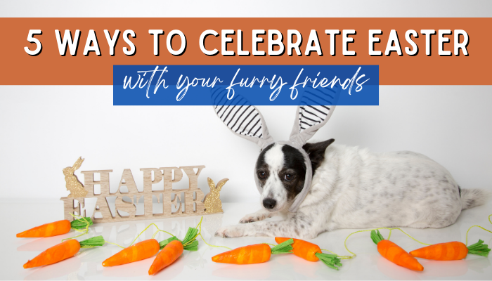 5 Ways to Celebrate Easter With Your Friends