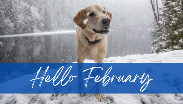 Hello February!