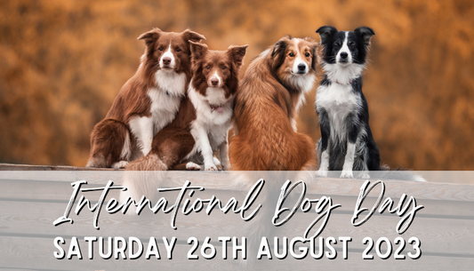 International Dog Day Competition