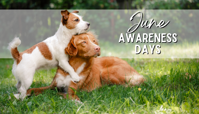 June Awareness Days: Celebrate Father's Day with Sabre Pet Food