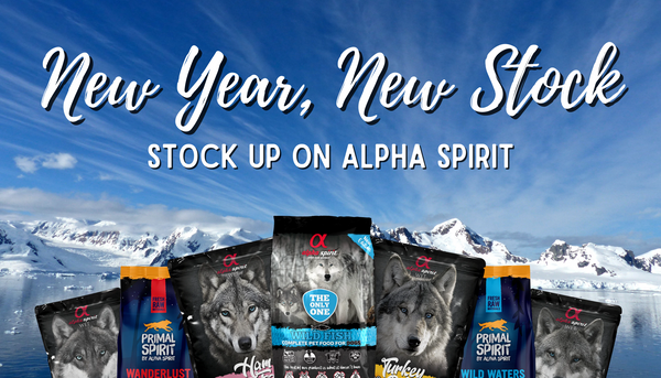 New Year, New Stock