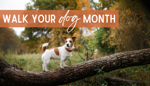 Walk Your Dog Month