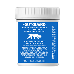 GutGuard Penta-biotic® Digestive Supplement for Dogs – 150g