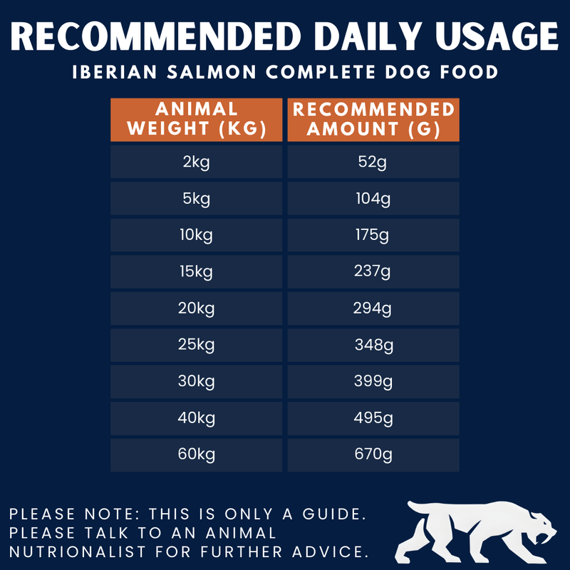 Iberian Salmon Complete Dry Dog Food (1kg)